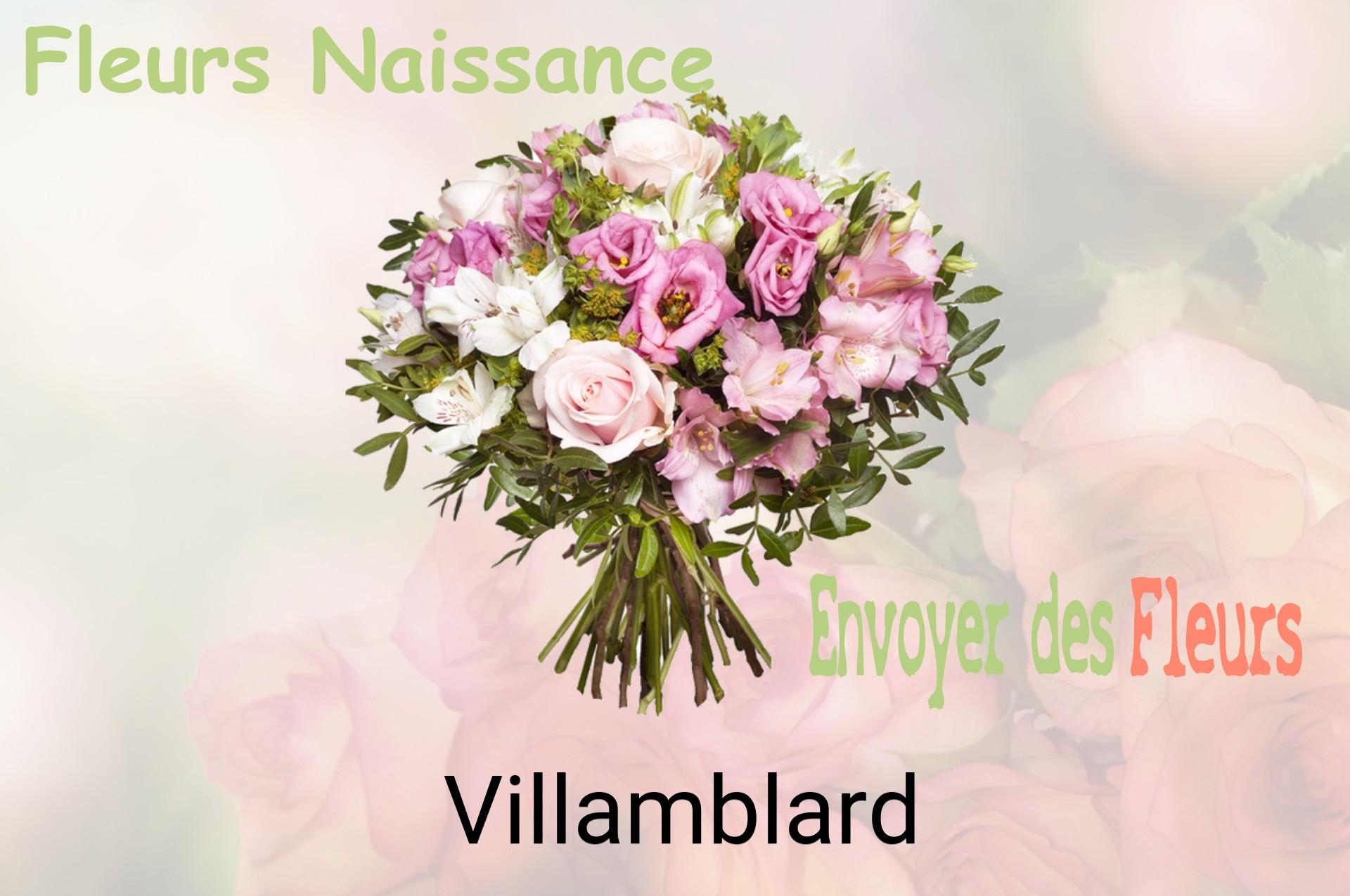 Bouquet de fleurs de naissance livré à Villamblard